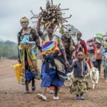 AP23304512293421-1024x683