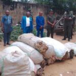 Screenshot_20250702-115556