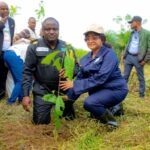 1664da12-d08a-4abe-bf22-8b0267e90d7e-768x512-1