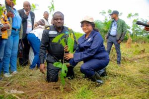 1664da12-d08a-4abe-bf22-8b0267e90d7e-768x512-1