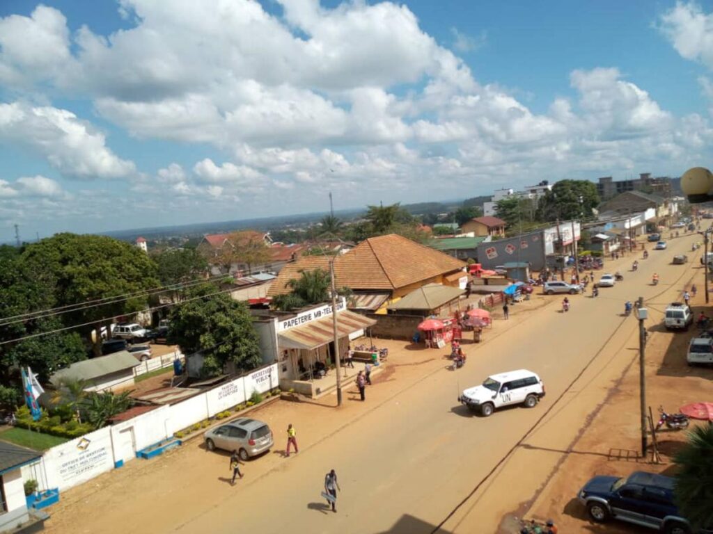 Nord-Kivu : un écolier et une femme périssent dans les inondations à Bashu 2 20201203142756818563 Boule1 1