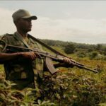 thumbs_b_c_37d506b169fd16efdef5f27b88fc6ea0