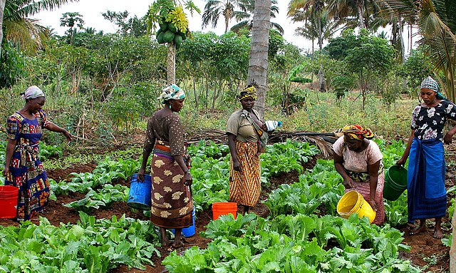 RDC : Le gouvernement appelé à soutenir activement la Journée internationale de la femme rurale 2025