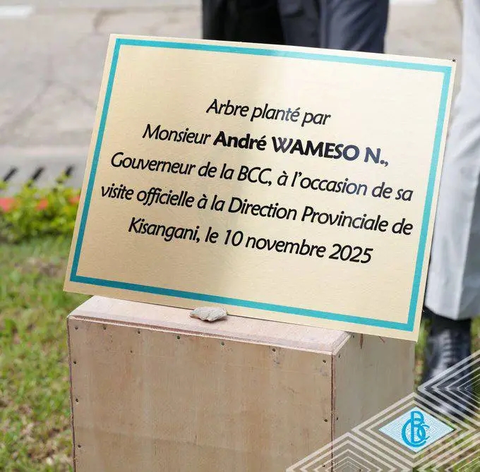 Tshopo : André Wameso plante un cocotier à la BCC pour symboliser résilience et stabilité 3 48417