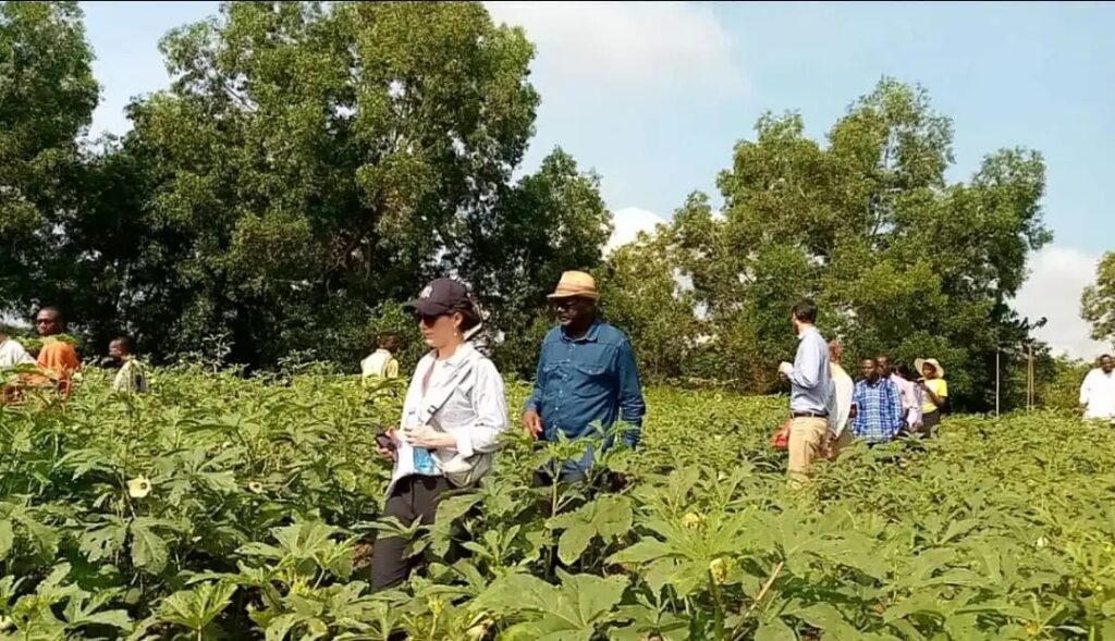 Tshopo : L’ANADEC présente à Enabel les avancées de ses 100 jeunes entrepreneurs agricoles 4 83775