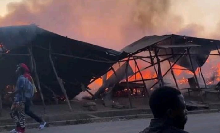 AE2D5592 80DC 4CF3 988B A74B79F2133E