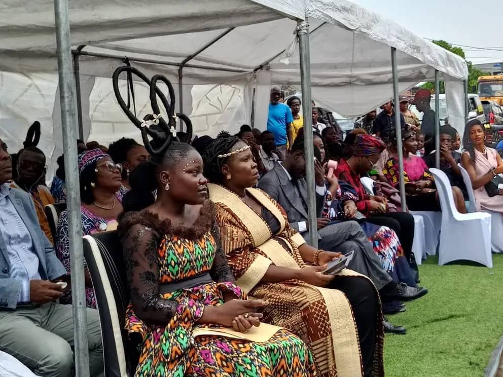 IMG 20251129 WA00811