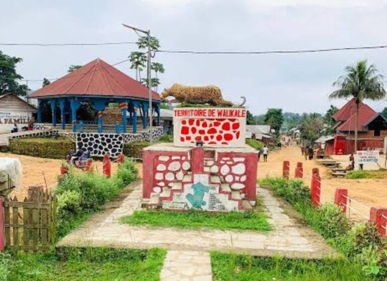 Nord-Kivu : Une panne de Vodacom perturbe les communications dans plusieurs localités de Walikale