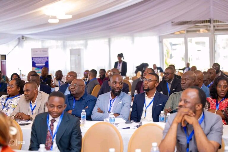 RDC : lancement à Kinshasa d’un atelier d’évaluation de la dotation minière de 0,3 % destinée au développement des communautés