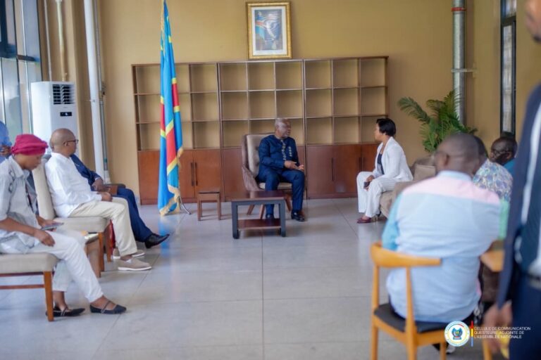 Kinshasa : l’Assemblée nationale envisage de tenir sa plénière au Centre culturel et artistique d’Afrique