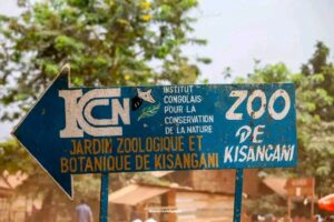 904f7860-80f3-4684-ab5c-a3e593df64cb