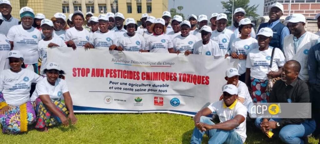 Journée mondiale de l’environnement : des légumes contaminés aux pesticides inquiètent les experts à Kinshasa 2 1049826
