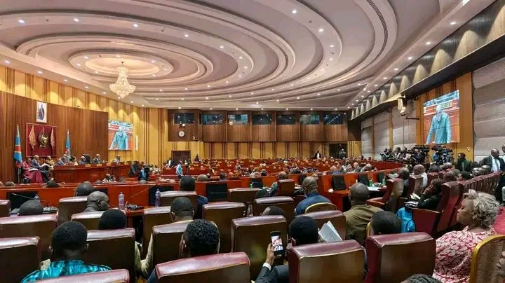 RDC : le Sénat adopte la loi sur le référendum, l’opposition dénonce une voie vers la révision de la Constitution 2 1100990